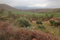 5736 31-1 view