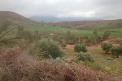 5737 31-1 view