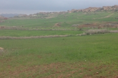 5744 31-1 view