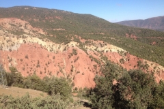 5766 1-2 view
