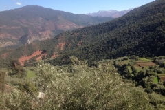 5772 1-2 mountain farm