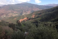5774 1-2 view