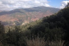 5776 1-2 view