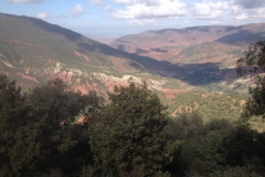5778 1-2 view