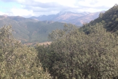 5784 1-2 mountain view