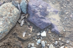 5818 1-2 rocks