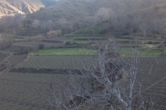 5826 1-2 Village