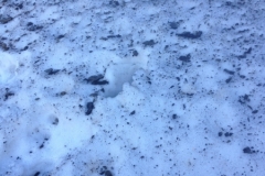 5864 2-2 Snow