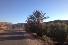 5964 2-2 road