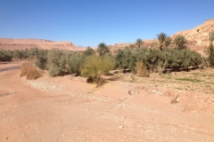 6001 3-2 trees