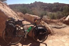 6003 3-2 bike & trees