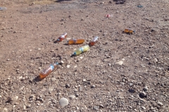 6030 3-2 urine bottles