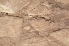 6062 4-2 Pavement