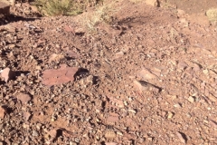 6228 6-2 view