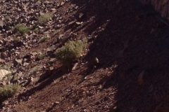 6237 6-2 rocky slopes