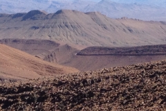 6246 6-2 view