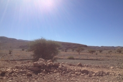 6286 6-2 view
