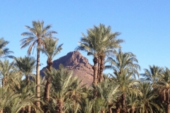 6400 7-2 palm trees & mountain