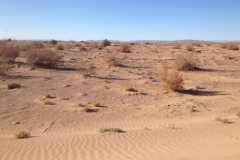 6448 8-2 sandy view