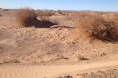 6449 8-2 sandy view