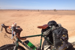 6469 9-2 desert bike