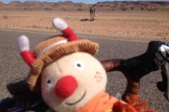 6474 9-2 BtS and camel