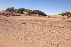 6483 9-2 dunes