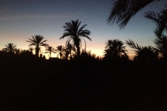6516 9-2 sunset