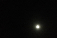 6518 9-2 moon