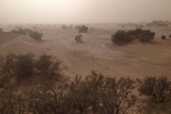 6533 10-2 sand storm on the desert