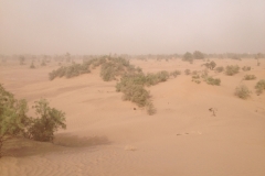 6534 10-2 sandstorm on the desert