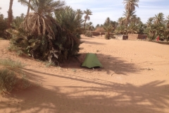 6549 11-2 tent in shade