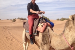 6560 11-2 camel ride into the desert