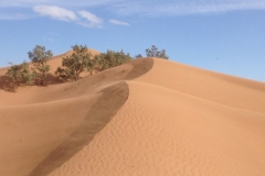6586 11-2 camel ride into the desert