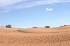 6587 11-2 camel ride into the desert