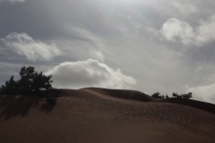 6609 11-2 camel ride into the desert