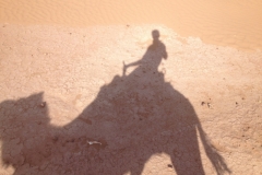 6614 11-2 camel ride into the desert