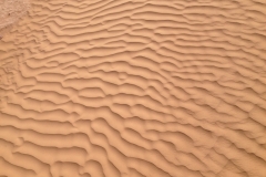 6616 11-2 camel ride into the desert