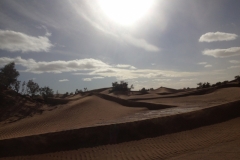 6618 11-2 camel ride into the desert