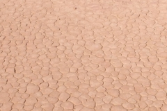6619 11-2 camel ride into the desert