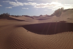 6625 11-2 camel ride into the desert