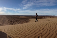6658 13-2 Georges on dune
