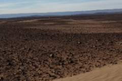 6659 13-2 Georges on dune