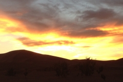 6670 13-2 sunset