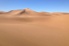 6678 14-2 dune