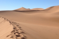 6686 14-2 footprints