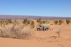 6697 14-2 land rover stop
