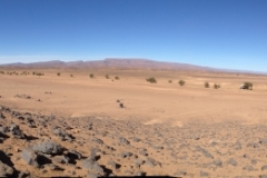 6730 14-2 panorama viewr