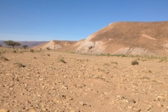 6736 14-2 view