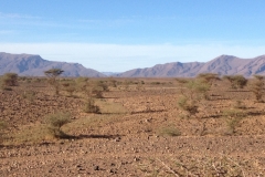 6753 14-2 view